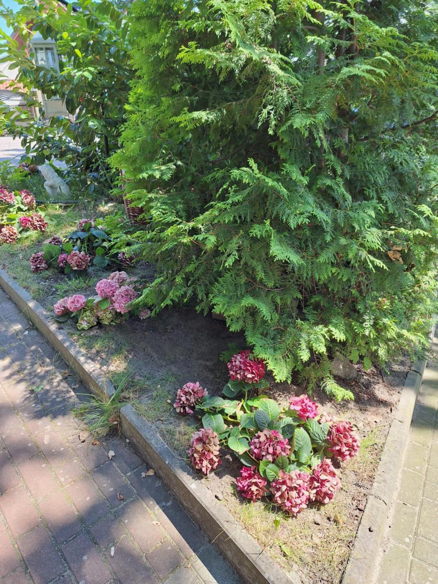 Domek Letniskowy 3 Os Pod Bukiem Miedzyzdroje Exterior foto
